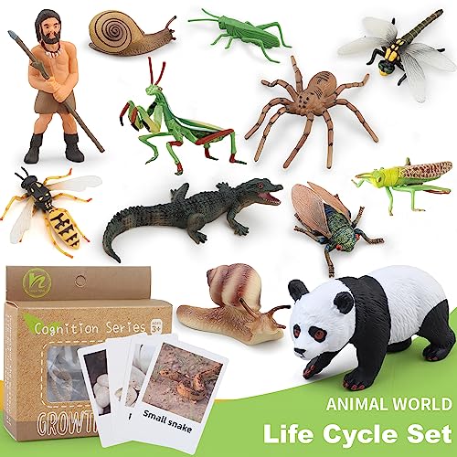 Montessori Life Cycle Animal Plastic Insect Figurines Learning & Education Toys for Kids, Preschool Activities (Dragonfly Mantis Cicada Bumblebee) - color: Dragonfly Mantis Cicada Bumblebee