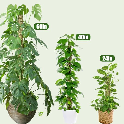 60" Metal Moss Pole, 2 Pack Moss Poles for Plants Monstera, Stackable Sphagnum Moss Pole, Plant Poles for Climbing Plants Work with Sphagnum Moss(2 Pack 60") - color: 2 Pack 60"