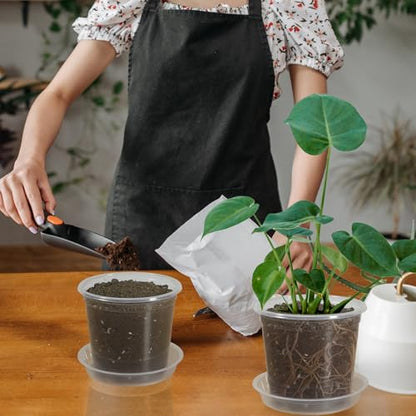 20 Pack 5 Inch Clear Nursery Pots with Drainage and 20 Pack Plant Saucers, Plant Pots for Plants Transparent Potting Containers for Plants Seeding Starter Pot (Clear, 5 Inch) - size: 5 Inch