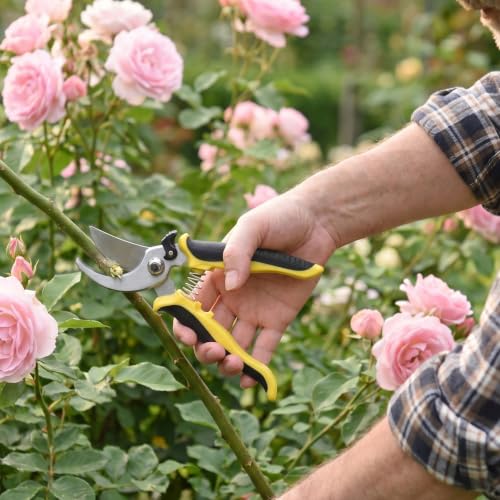 Garden Scissors - Pruning Shears & Garden Tool Set, 4 Pack