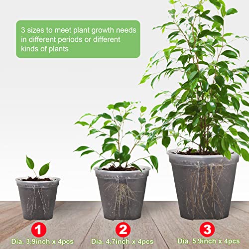 GREENPARA 12 Pack Clear Nursery Pots 4/5/6 Inch Planter with Drainage Holes