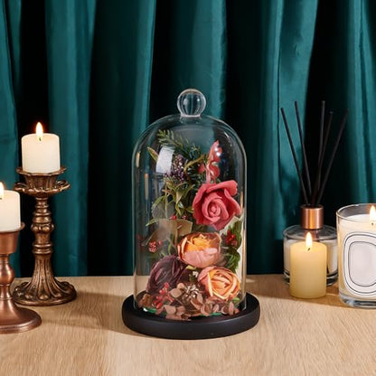 PH PandaHall Cloche Glass Dome Black Wooden Base Bell Jar Cloche Bottles Display Case Clear Glass Display Dome with Top Handle for Plants Flower Clay Succulents Antique Collectibles, 4.92x8.46inch - size: 4.92x8.46inch
