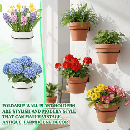 Flower Pot Holder Wall Planter Ring Hanger Metal Wall Plant Hanging Pot Holder Mounted Hanging Bracket for Indoor Outdoor Home Garden Plant Flower Display, Black(6 Pcs,6 Inch) - size: 6 Inch