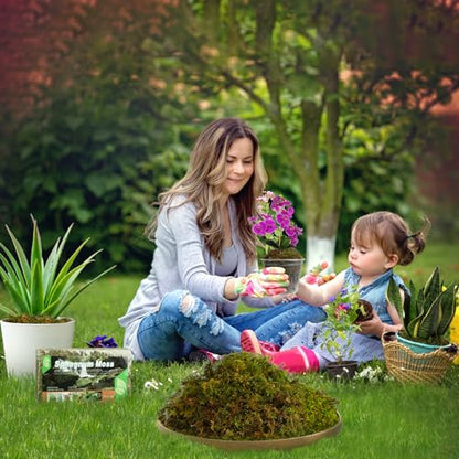 Doter Dried Forest Moss for Plants (10 qt / 2 pcs), Sphagnum Potting Moss for Various Plants, Including Orchids, Carnivorous Plants, Succulents, Garden Flowers, and Reptiles