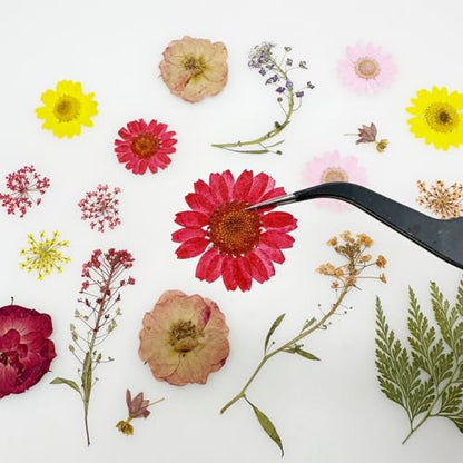 Cayway 40 PCS Dried Pressed Flowers for Resin, Real Pressed Flowers Dry Leaves Kit Natural Dried Pressed Leaves for Art Crafts Resin Scrapbook Supplies Soap Candle DIY, Pink and Red Rose - color: Red-pink-40