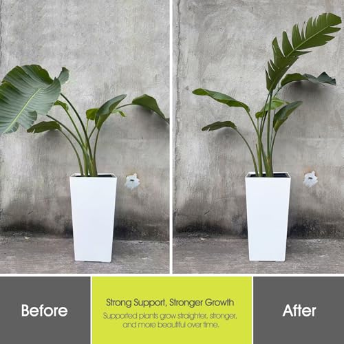 RIFNY Plant Stakes for Indoor Plants, 14 Inch Plant Support Stakes, 10 PCS | Tall Adjustable Garden Plant Sticks, with Clips for Indoor Monstera Tomato Orchid Potted Plants Flower, Green - size: 14IN 10PCS
