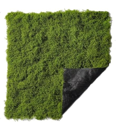 Artificial Green Moss Mat for Decoration Carpet Grass Wall, 19.68 x 19.68 inch Natural Preserved Moss Mat, Green Moss Sheets for Crafts Woodland Decor Garden Party Decorations Wall Art DIY Project