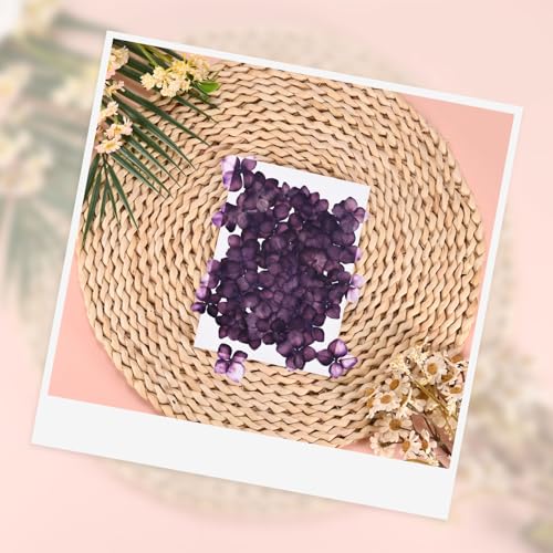 M METERXITY 12-Pack Dried Pressed Flowers for Resin, Real Natural Bulk Dry Floral for Crafts/DIY Jewelry/Soap Making/Scrapbooking/Candle/Epoxy Resin Supplies//Photo Frames [Dark Purple] - color: Dark Purple