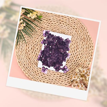 M METERXITY 12-Pack Dried Pressed Flowers for Resin, Real Natural Bulk Dry Floral for Crafts/DIY Jewelry/Soap Making/Scrapbooking/Candle/Epoxy Resin Supplies//Photo Frames [Dark Purple] - color: Dark Purple