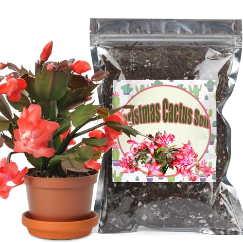 Doter Christmas Cactus Potting Soil Mix 4qt, Ideal for Succulents, Christmas Cacti, and Other Indoor Potted Plantings - size: 4qt