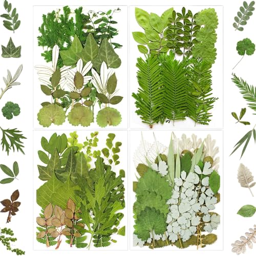MIKIYA 84Pcs Pressed Dried Leaves for Resin Molds, Assorted Real Natural Bulk Dry Flowers for DIY Art Crafts, Epoxy Jewelry, Candle, Soap Making, Nails Decors Gifts - color: Leaves