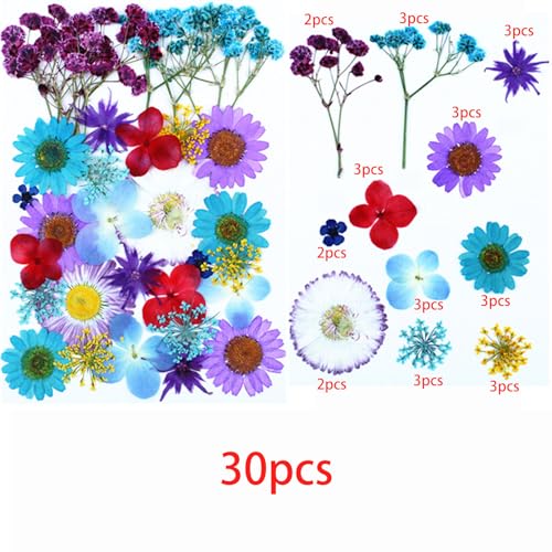 Cayway 4 Pack Pressed Flowers Natural Dried Flowers Colorful Resin Flowers Real Pressed Flowers for Resin Scrapbook DIY Art Crafts, Epoxy Resin Jewelry, Card Making Supplies, Style H - color: 4 Pack Pressed Flowers C