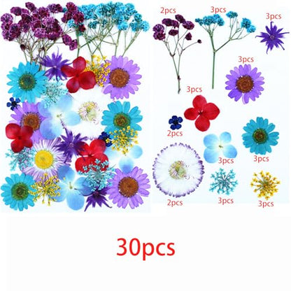 Cayway 4 Pack Pressed Flowers Natural Dried Flowers Colorful Resin Flowers Real Pressed Flowers for Resin Scrapbook DIY Art Crafts, Epoxy Resin Jewelry, Card Making Supplies, Style H - color: 4 Pack Pressed Flowers C