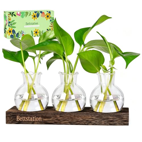 Plant Propagation Station, Plant Terrarium with Wooden Stand - color: 3 Bulbs
