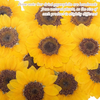Roowest 12 Pcs Dried Pressed Flowers for Resin Real Natural Sunflower Petals for Jewelry Candle Soap Making DIY Art Craft Scrapbooking Supplies (3.94–5.51 Inches) - size: 3.94–5.51 Inches