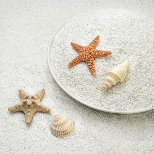 NUPICK 0.4-0.8mm White Aquarium Sand, 6lbs Substrate for Fish Tank, Garden | Decorative Fish Tank Sand for Plants, Aquarium Gravel Substrate for Terrarium, Vase Filler, Crafts, Reptiles, Candle, Cactus - color: White, size: 6lb