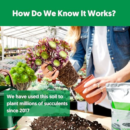 Succulent Cactus Potting Soil Mix (2 qt), All-Purpose Garden Potting Mix for Indoor Outdoor Plants, Quick Drain Houseplant Orchid Bonsai Perlite Soil, Ready-to-Use, Resealable Bag Design - size: 2 qt