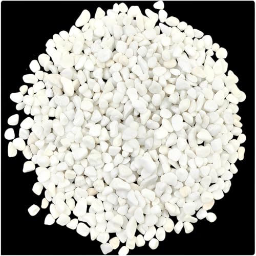 2.7lbs Mexican Beach Pebbles, 3/8 Inch Small Decorative River Rocks for Indoor Plants, Succulents, Vases, Fish Tanks, Aquariums, Garden Landscaping, Home Decor, and Outdoor Paving (White, 2.7lbs) - color: white, size: 2.7lbs