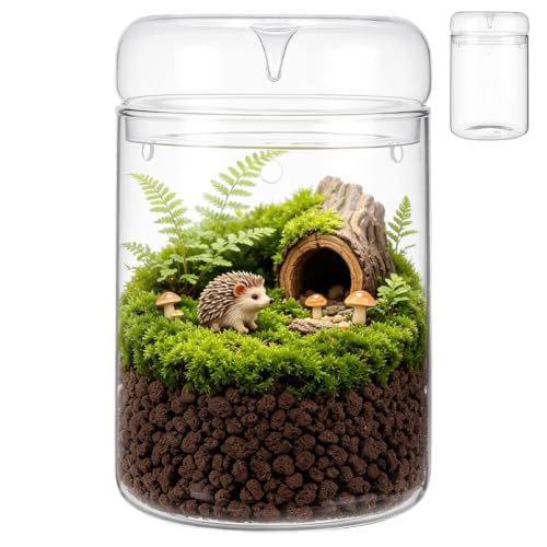 Glass Terrarium Jar with Dome Lid Glass Terrarium Containers for Plants Planter Terrariums for Succulents Moss Home Decor for Tabletop Gift for Plant Lovers - 5.9"x9.1" - size: 5.9x9.1 in