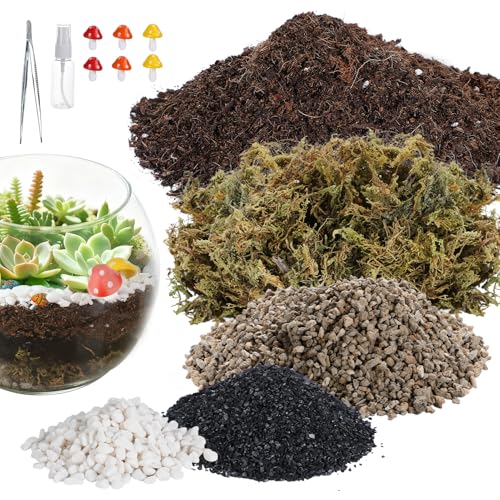 Alphatool Terrarium Kit Decor Gifts for Women Adults Starter