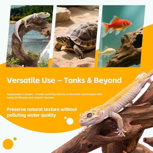 EFFIELER Natural Driftwood for Aquarium Decor – Unique Size Real Wood Branches for Fish Tank, Reptile Habitat, Terrarium, Hermit Crab, Shrimp Tank (11-14 INCH 2-Pack, Mopani Driftwood) - size: 11-14 INCH 2-Pack