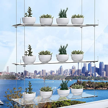 3-Tier Hanging Acrylic Plant Shelves for Windows | Each Tier 16 Inch Long, Height Adjustable Plant Stand, Clear Hanging Plant Stand for Indoor Windows, Grow Herbs,Flower - color: 3 Tier