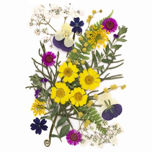 25Pcs Dried Pressed Flowers for Resin DIY Art Crafts Natural Dry Leaves Ferns Daisy Epoxy Jewelry Real Flower Decor Cakes Bookmarks Phone Cases Candles Handmade Soap Yellow Crystal - color: Yellow Crystal