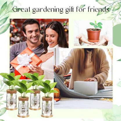 12 Pack Plant Propagation Jars Cork Lids Bamboo Stand,Awesome | Glass Vases for Water Propagation, Desktop Planters Wood Stand, Office Home Decor, Teacher Thank You Gifts, Quotes Art