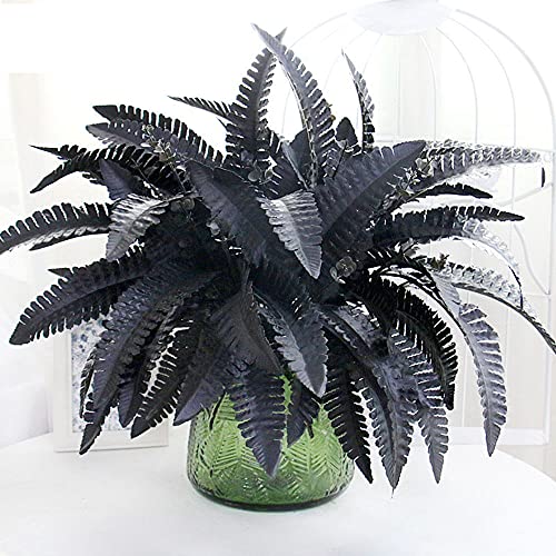Fern Preserved Black Ferns, Dried Boston Fern with Stems,Real Leaves for Dried Flowers Arrangements Wedding Garland Bouquets Home Party Decorations