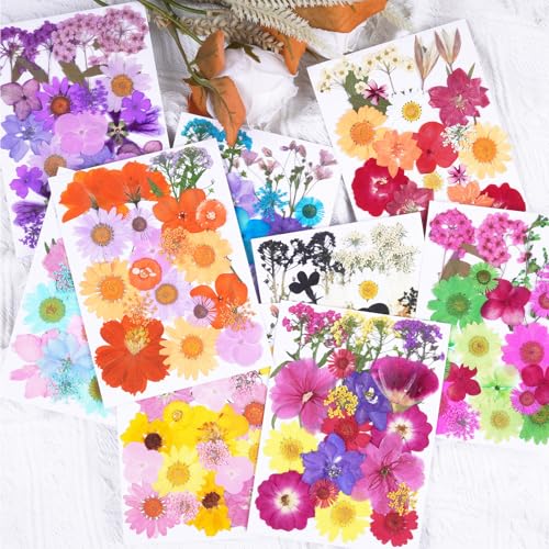 190Pcs Dried Pressed Flowers for Craft,Xinxinran Dry Flower Kit for Resin - color: Bright Color
