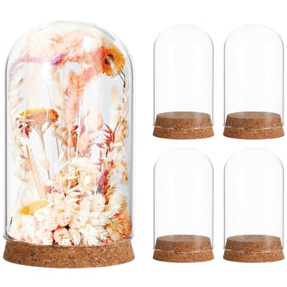 Toyvian 5 Pcs Cloche Glass Dome: Clear Glass Display Dome with Wood Base, Decorative Jars, Transparent Display Cover for Flower Storage, Christmas Party Favor, Keepsakes Collectibles