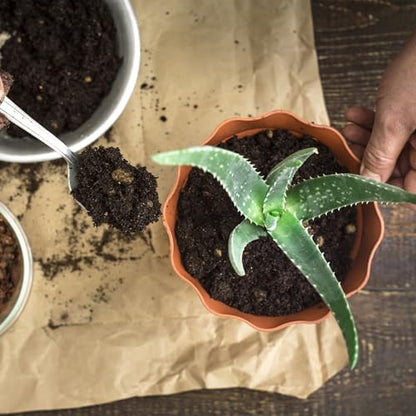 Doter Aloe Vera Potting Soil Mix 10qt, Ready to Use for Seedling and Growing of Aloe Vera Plants or Other Houseplants - size: 10qt