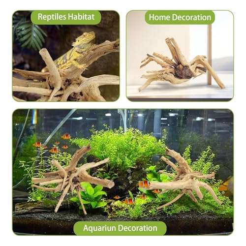 Tfwadmx Natural Driftwood for Aquarium, 11-13 inch Reptile Branches Terrarium Wood Aquarium Trunk Driftwood Tree Fish Tank Log Decoration Pack of 2 - size: Spiderwood（7-13 inch pack of 2）