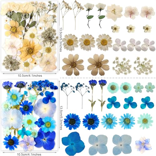 221PCS Real Nature Dried Pressed Flowers for Resin Craft, Dry Pressing Floral with Butterfly Transparent Stickers Set for DIY Jewelry Making Nail Card Scrapbook Art Eternity Summer - color: Eternity Summer