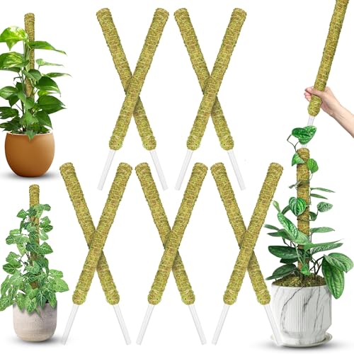 10Pcs 22'' Natural Stackable Moss Pole for Plants Monstera | Extendable Plant Pole, Natural Forest Moss Sticks, Monstera Plant Support, Handmade Plant Stakes for Indoor Potted Plants - color: 10pcs Natural