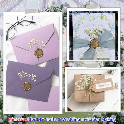 112Pcs Babys Breath Mini Dried Pressed Flowers for Crafts, Real Natural Flat White Dry Flowers Bulk for DIY Wedding Invitation, Resin Art, Card, Bookmark, Scrapbook, Jewelry, Frame, Candle,Soap Making - color: White Baby's Breath 112pcs