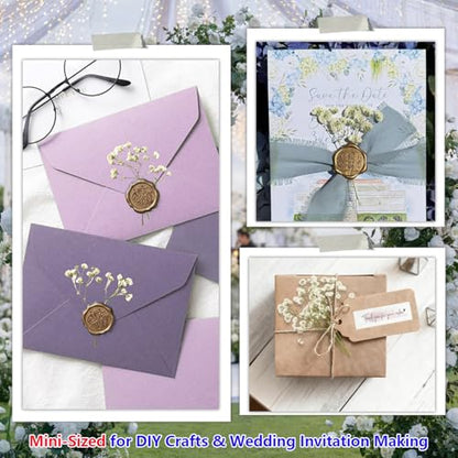 112Pcs Babys Breath Mini Dried Pressed Flowers for Crafts, Real Natural Flat White Dry Flowers Bulk for DIY Wedding Invitation, Resin Art, Card, Bookmark, Scrapbook, Jewelry, Frame, Candle,Soap Making - color: White Baby's Breath 112pcs