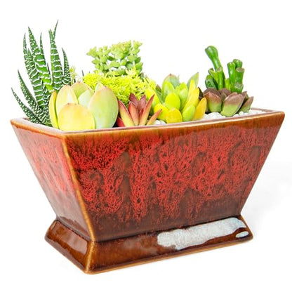 Succulent Pots, 7'' Large Plant Pot with Drainage, Shallow Planters - color: Red