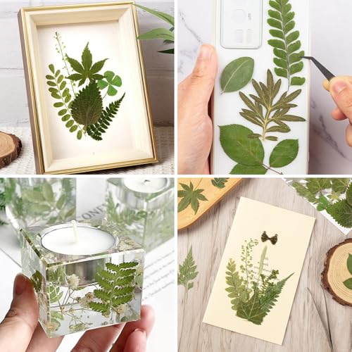 95Pcs Real Pressed Dried Leaves for Resin, 35 Styles Natural Dry Leaf for DIY Crafts, Green Dried Leaves for Epoxy Molds Jewelry, Candle, Bookmarks,Soap Making, Card Scrapbook - size: 95Pcs Dried Leaves