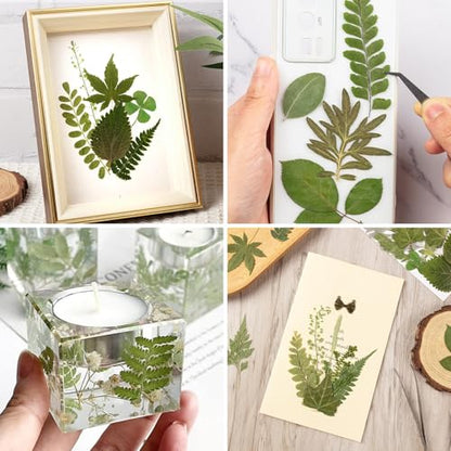 95Pcs Real Pressed Dried Leaves for Resin, 35 Styles Natural Dry Leaf for DIY Crafts, Green Dried Leaves for Epoxy Molds Jewelry, Candle, Bookmarks,Soap Making, Card Scrapbook - size: 95Pcs Dried Leaves