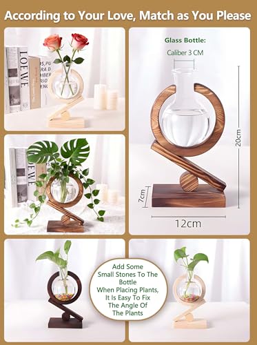 Glass Plant Propagation Station with Wooden Stand, Natural Wood - color: Natural Wood