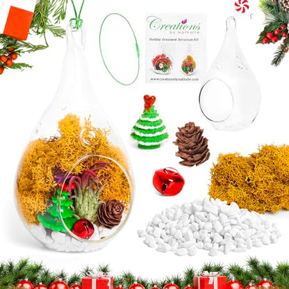 Creations by Nathalie Holiday Glass Terrarium Kit with Live Plant 5" Inch | DIY glass terrarium kit with live plant and moss, including supplies to create an indoor terrarium display for home décor. - size: 5" Glass Teardrop
