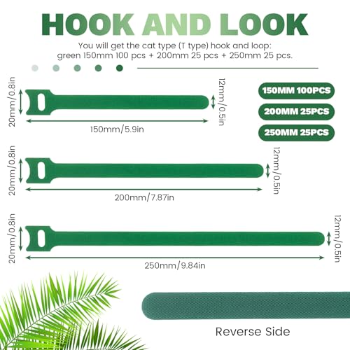 150 Pack Reusable Plant Ties, Hook and Loop Green Garden Tapes & Straps, Soft and Connectable, for Outdoor Climbing Plants, Tomato Support, 0.5in Wide, 6+8+10in - color: 150pcs, 0.5in wide( 6+8+10in)