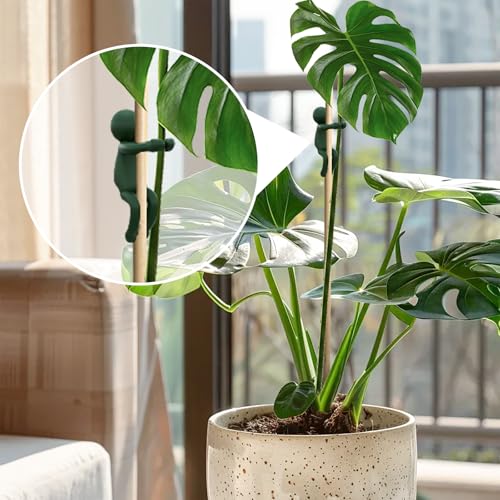 Plant Propagation Friends, 3PCS Plant Cutting Holder Plant Support for Sprouts, Stems and Shoots, Cute Plant Propagation Buddy Plant Supporters for a Plant Propagation Station or an Indoor Garden