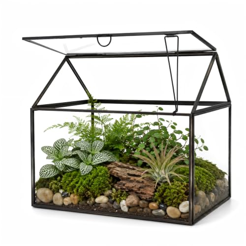 Black 1 Large Glass Plant Terrarium Kit with Lip Greenhouse for Succulents - color: Black 1