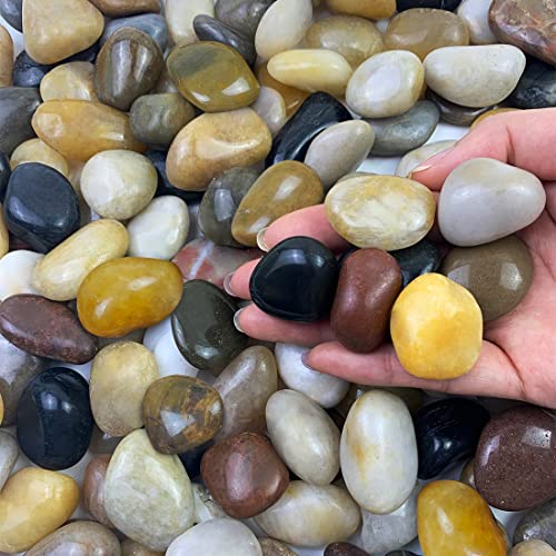 FANTIAN 5 lbs Small Pebbles for Plants, 0.8-1.2 Inch Colorful River Rocks - size: 0.8-1.2 Inch, style: 5 Pounds