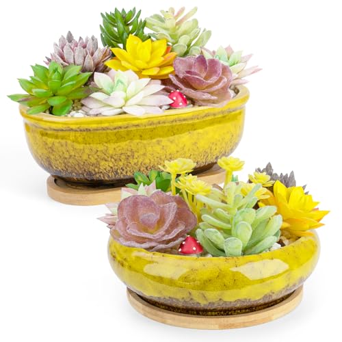 Succulent Pots, 1 Rectangle Planter + 1 Ceramic Bonsai Pots with Drain Tray | 2 Pack Large Shallow Succulent Planters for Indoor Plants, Round Cactus Flower Plant Pot for Desk Windowsill Decor - color: Yellow