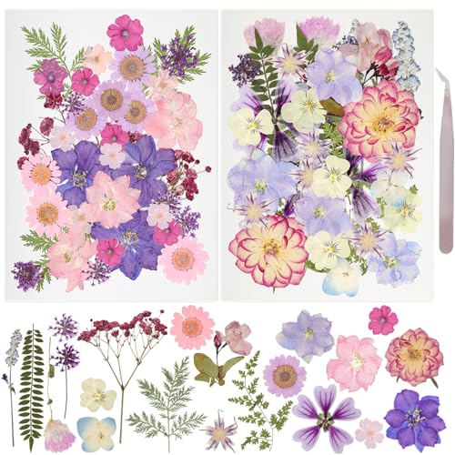 50Pcs Dried Pressed Flowers Resin Mould Real Pressed Flowers Natural Dry Leaves Bulk Mixed Colorful Daisy Herbs Kit with Tweezers for Scrapbooking DIY Candle Jewelry Crafts Making Nails(Purple) - color: Purple