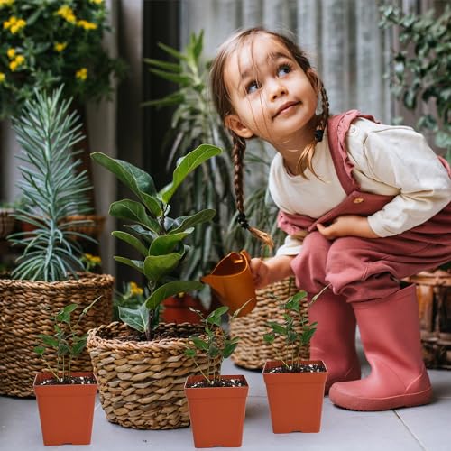 June Fox 100 Pack Red Square Nursery Pots with Drainage Holes 3.3 Inches Flexible Plastic Seedling Pots Square Pots for Plants, Succulent, Flower, with Plant Labels