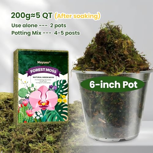 Dried Forest Moss for Plant Care, Sphagnum Potting Moss Suitable for Orchids, Carnivorous Plants, Succulents, Garden Blooms & Reptile Habitats (7 OZ) - style: 7 OZ